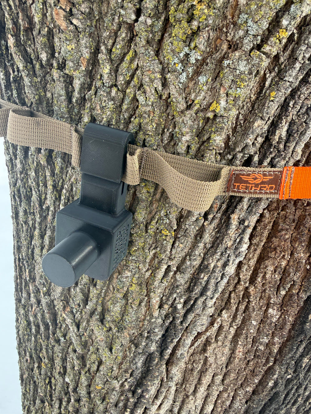 Quiver Tree Strap Bracket