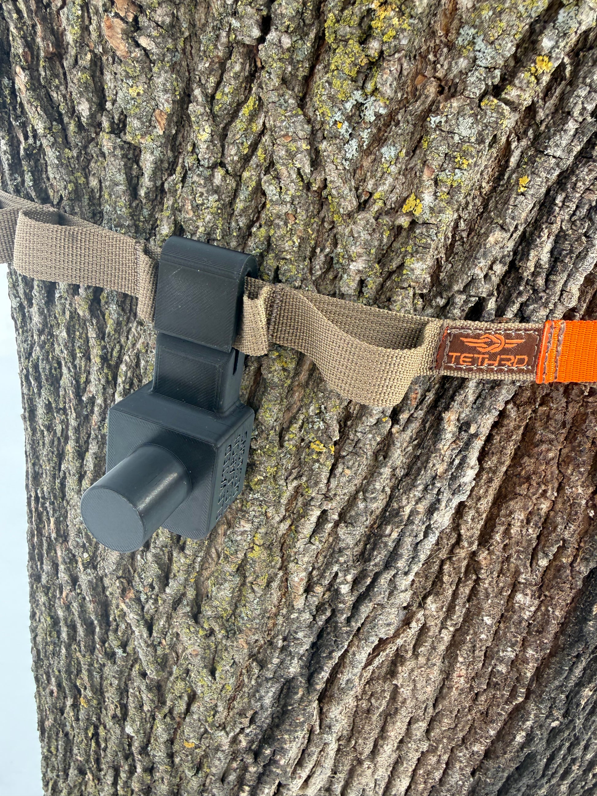 Quiver Tree Strap Bracket