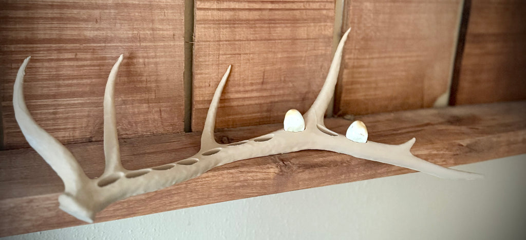 Elk Antler Ivory Display