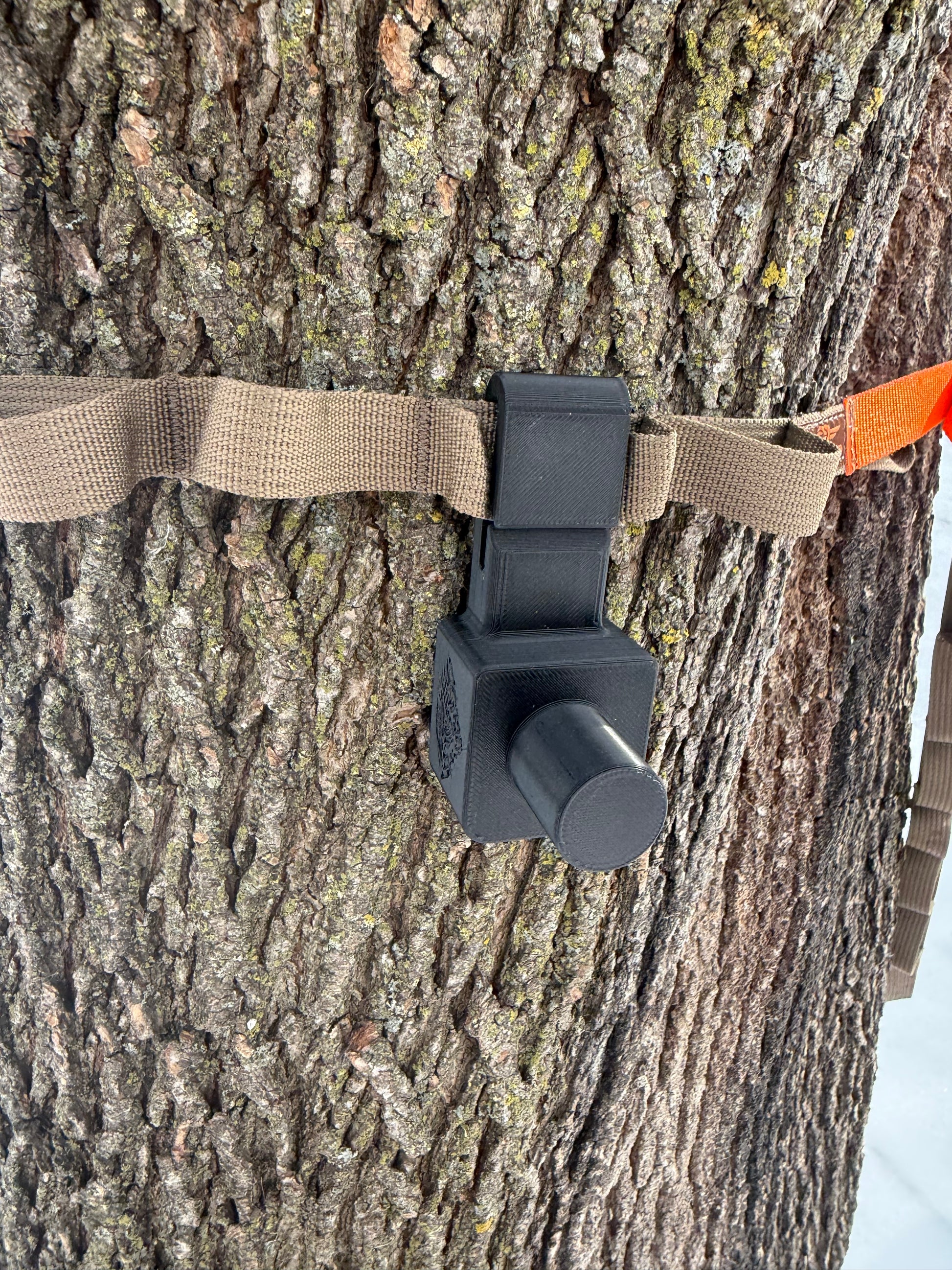Quiver Tree Strap Bracket