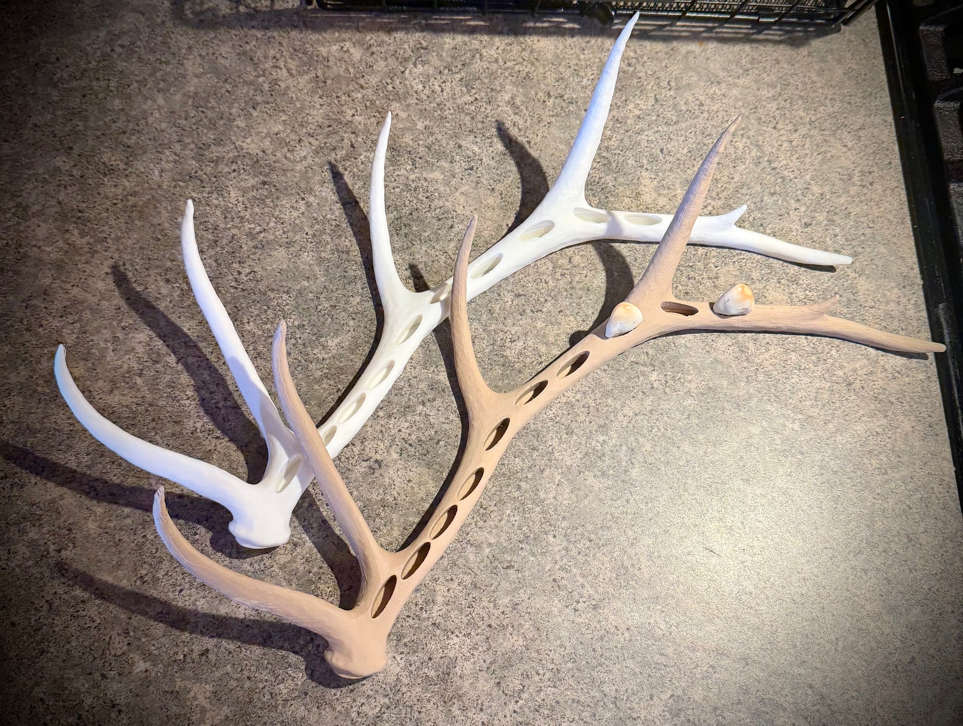 Elk Antler Ivory Display