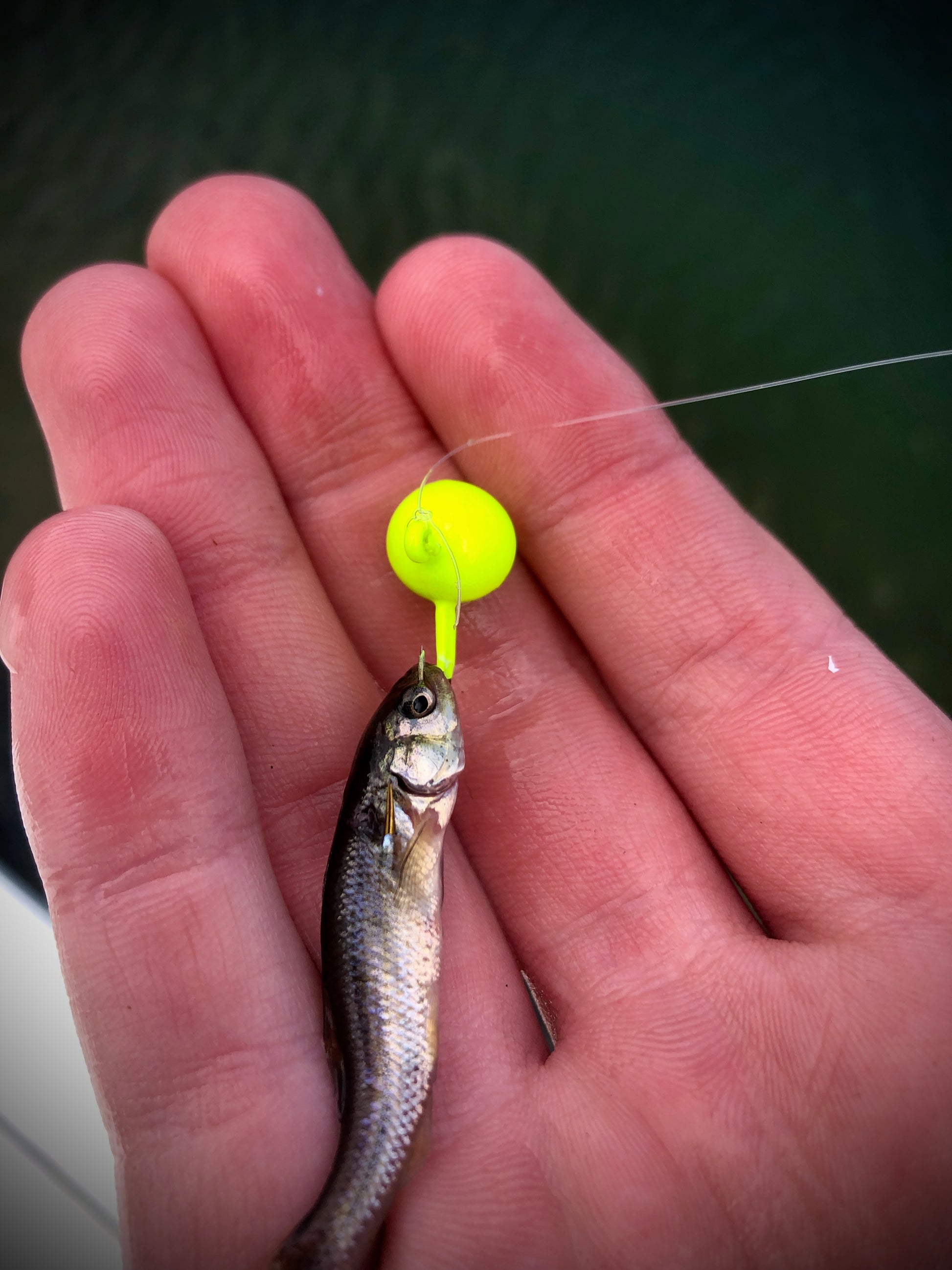 Winnebago Series Jigs with Bait Guard (ERD X JMO Collective)