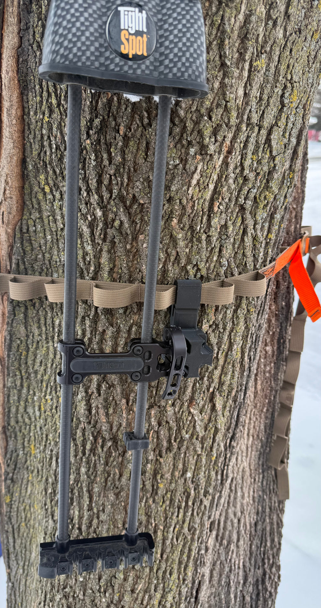 Quiver Tree Strap Bracket