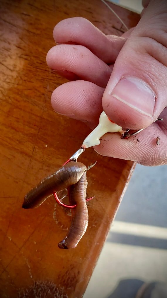 Winnebago Series Jigs with Bait Guard (ERD X JMO Collective)