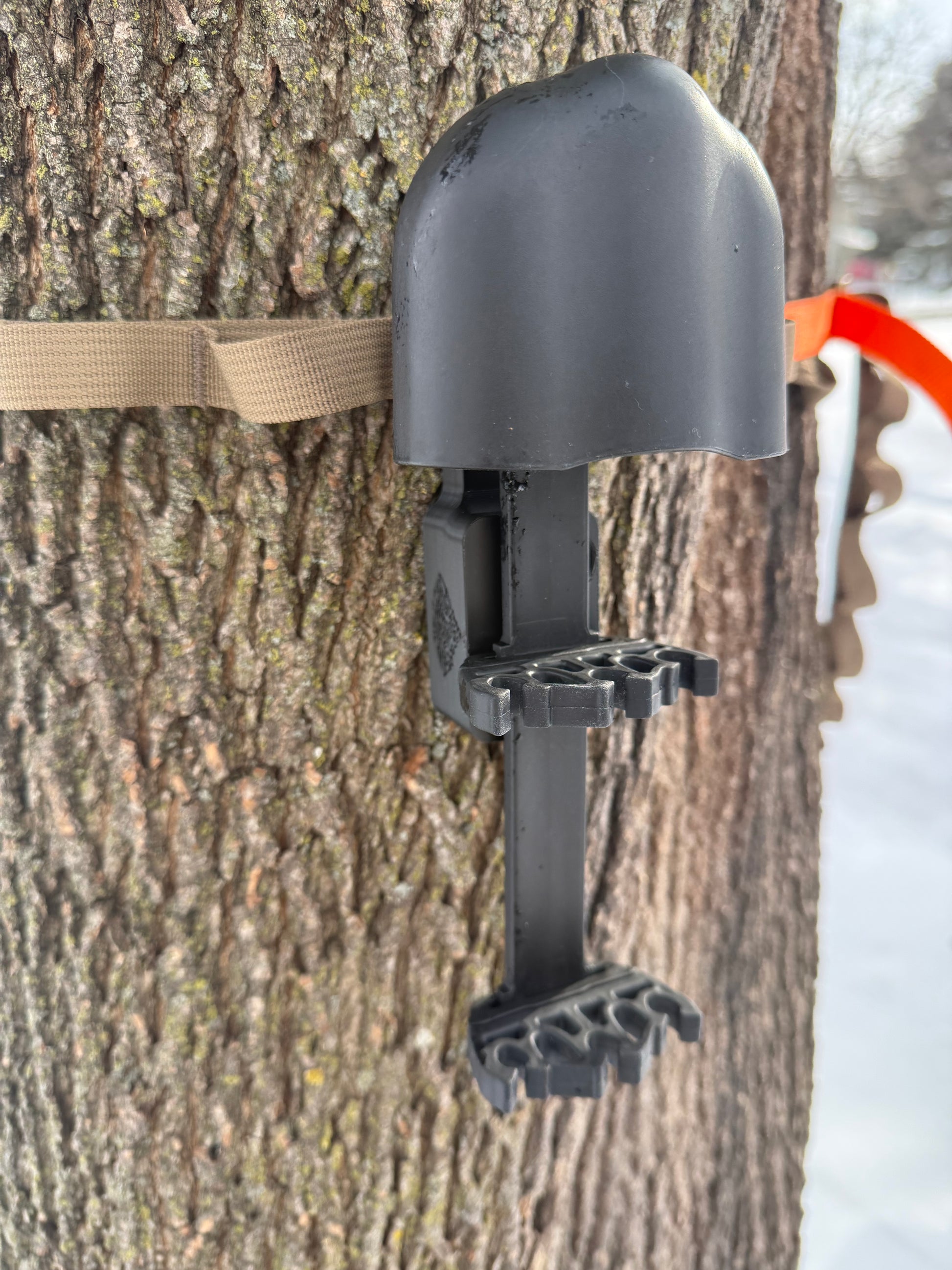 Quiver Tree Strap Bracket