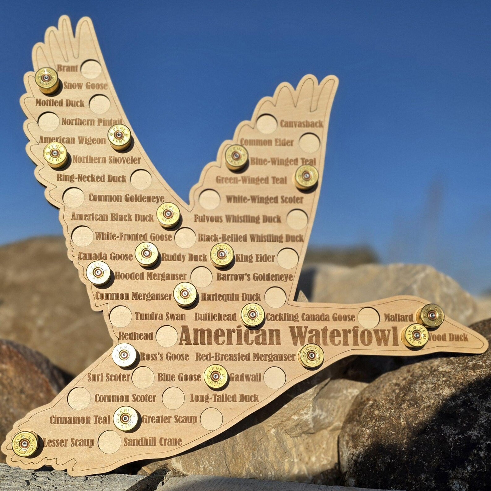 North American Waterfowl Map (ERD X RWB Collective)
