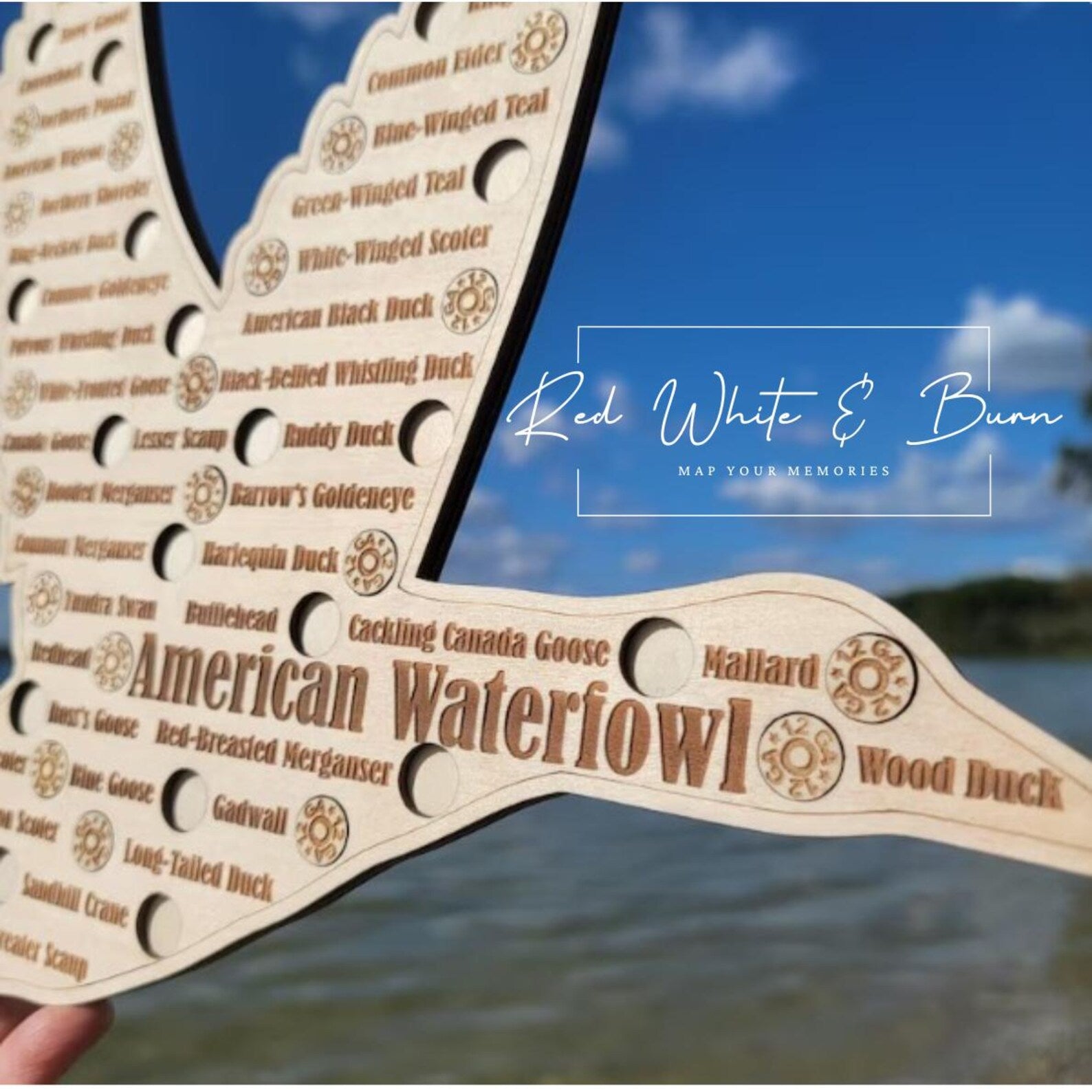 North American Waterfowl Map (ERD X RWB Collective)