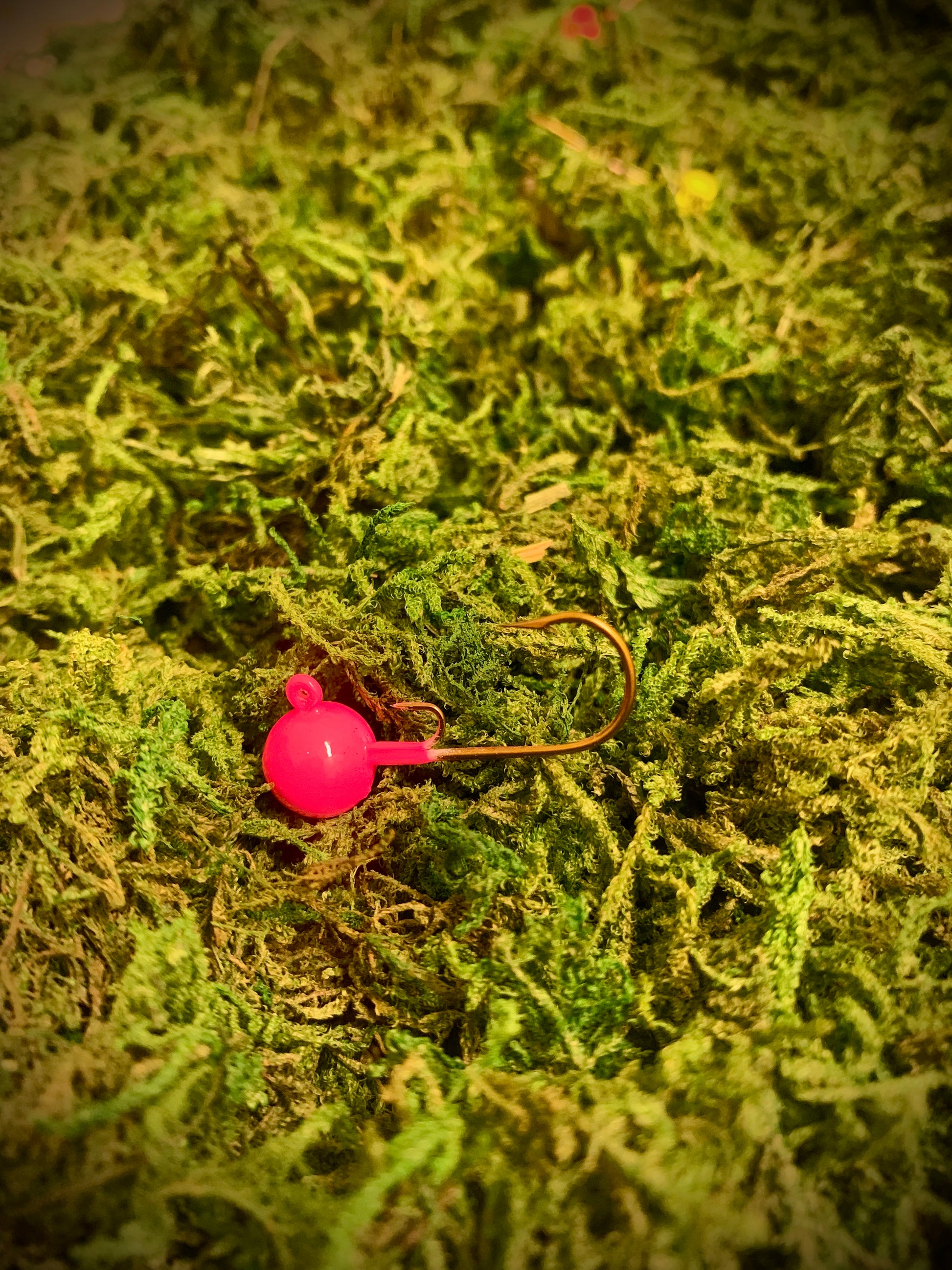 Winnebago Series Jigs with Bait Guard (ERD X JMO Collective)