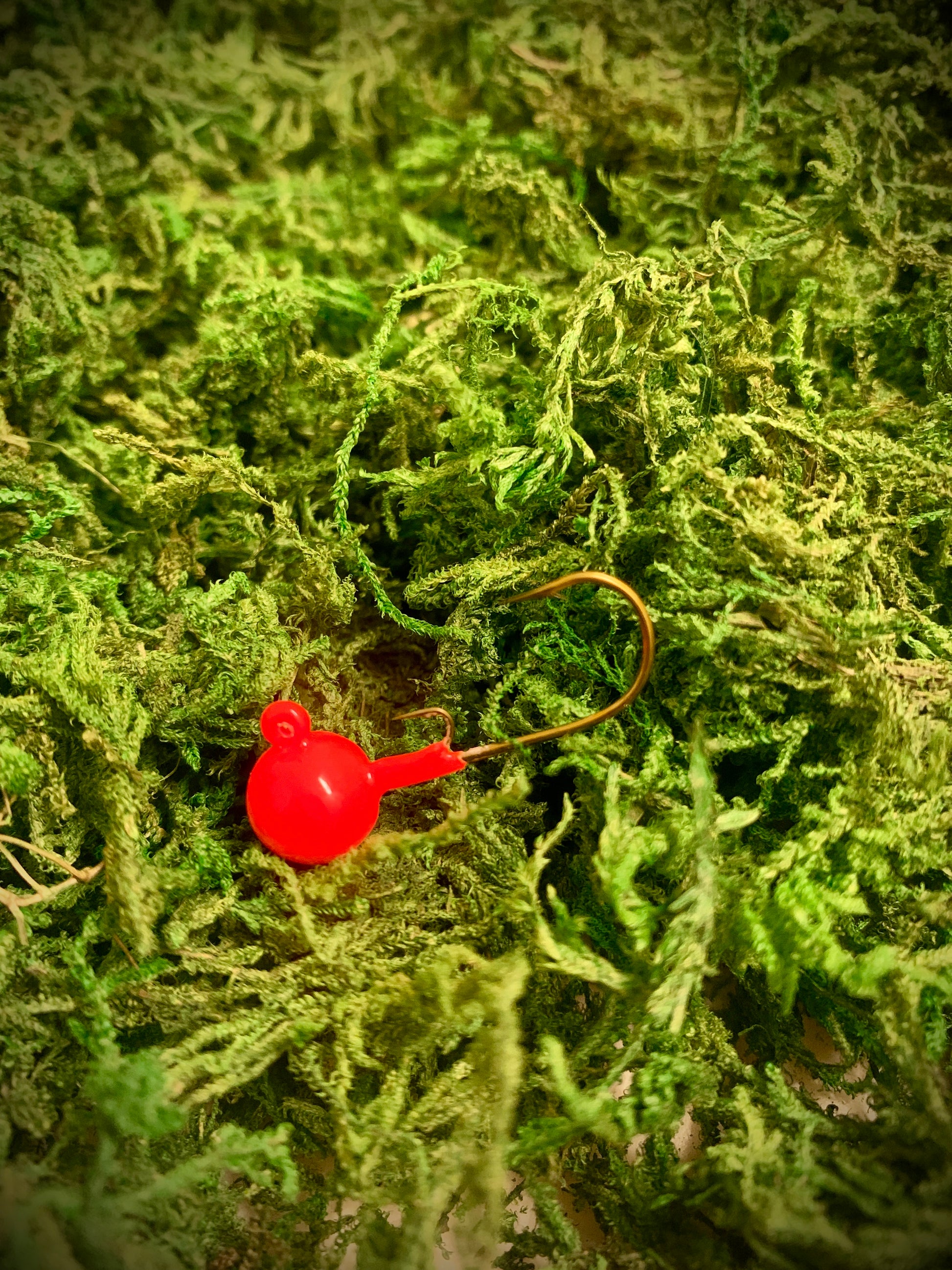 Winnebago Series Jigs with Bait Guard (ERD X JMO Collective)